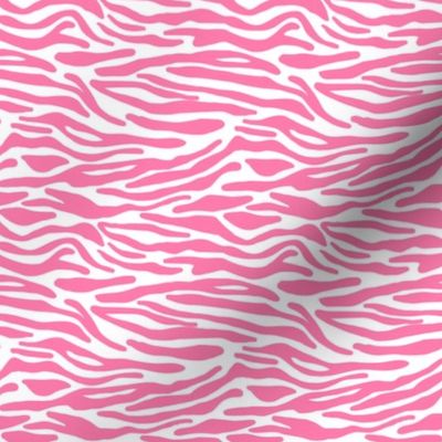 Bright Pink Zebra Stripes Animal Skin on White