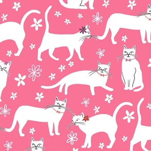 Spring Cats Pink