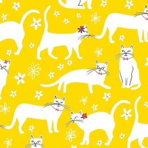 Spring Cats Yellow