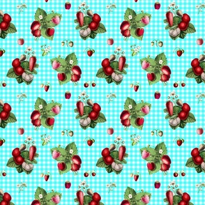 Strawberries on aqua gingham