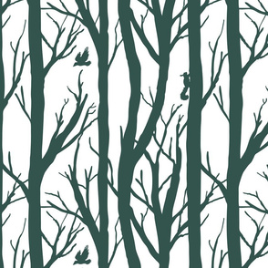 Winter Forest Habitat