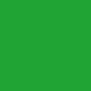 Dark Holly Green Solid -- Christmas Holiday Holly Green Solid -- Solid Green Coordinate -- (HSV 20a534) 