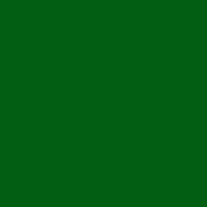 Darker Holly Green Solid -- Christmas Holiday Holly Green Solid -- Solid Green Coordinate -- (HSV 015f13) 