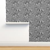 Distorted Zebra Glitch Stripes Collage