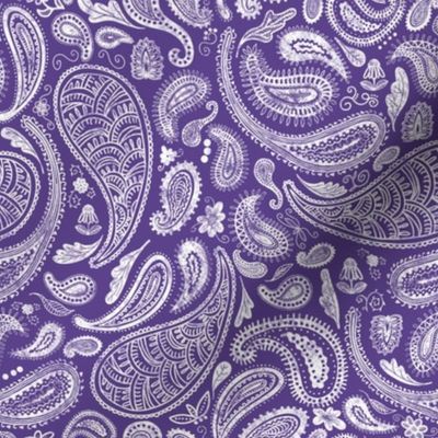 Modern Distressed Paisley, Purple by Brittanylane