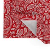 Modern Distressed Paisley, Red by Brittanylane