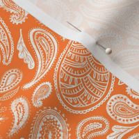 Modern Distressed Paisley, Orange by Brittanylane