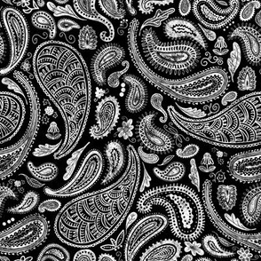 Modern Distressed Paisley, White on Black by Brittanylane