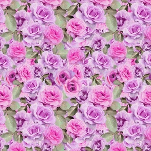 Bed of Roses, Victorian Violet and Pink