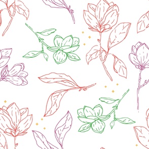 Beautiful Spring Colored Delicate Magnolia Floral Lineart