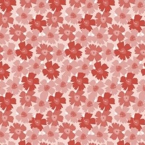 Hibiscus Charme // Normal Scale // Tropical Flowers // Light Pink Background