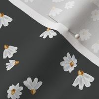 Daisy Flowers with Dark Grey Background