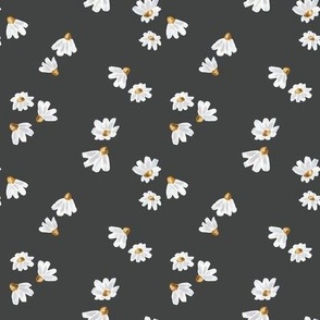 Daisy Flowers with Dark Grey Background