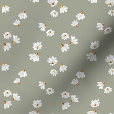 White Daisy Flowers on Green Background