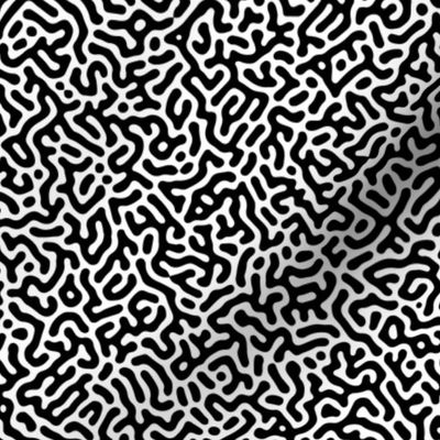 Turing Pattern I: Black on White