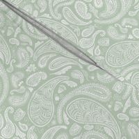 Modern Distressed Paisley, White on Sage by Brittanylane