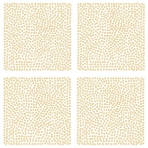 Dotted Grid White