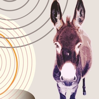 Burro Fabric, Wallpaper and Home Decor | Spoonflower
