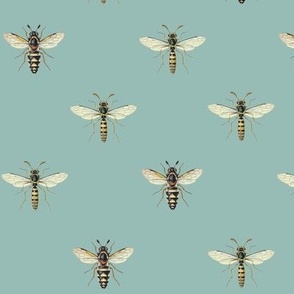 bees and drones on teal medium