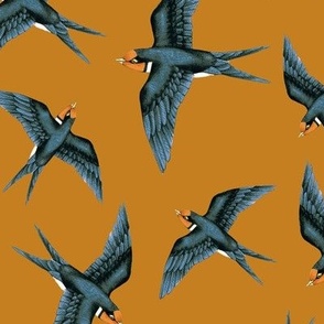 Swooping Swallows, Desert Sun // standard