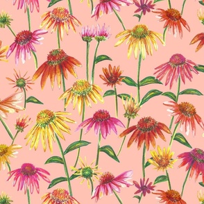 Coneflower Pink