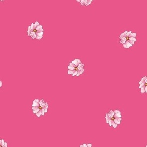 Garden Party Co-Ordinates Small pink rose polka dot on pink