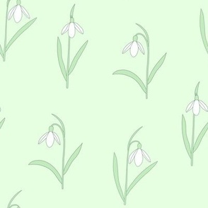 Snow drops