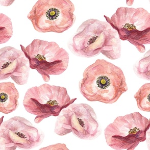 Watercolor poppies 