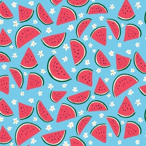 Red Watermelon On Blue Background