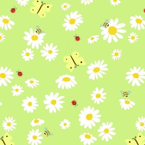 Daisy field - spring vibes