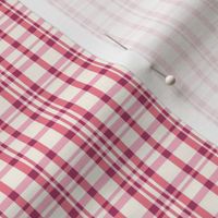 Berry Plaid in Pink - Small
