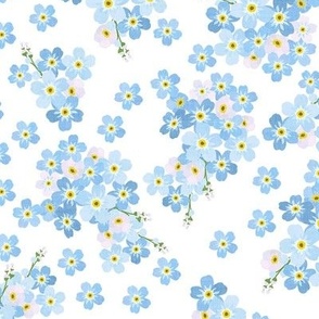 Forget Me Not White