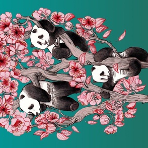 Three pandas in a cherry blossom tree.