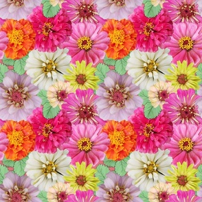 Zinnias Marigolds and Strawberry Leaves Garden Party on WATERMELON PINK Petal Solids Background
