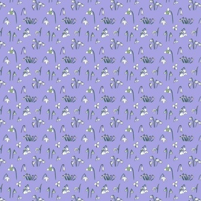Snowdrop Varieties (purple, tiny)