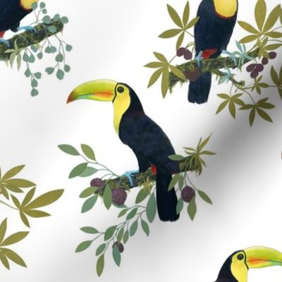 Funny party with toucans on white /small/