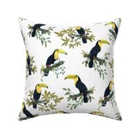 Funny party with toucans on white /small/