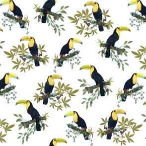 Funny party with toucans on white /small/