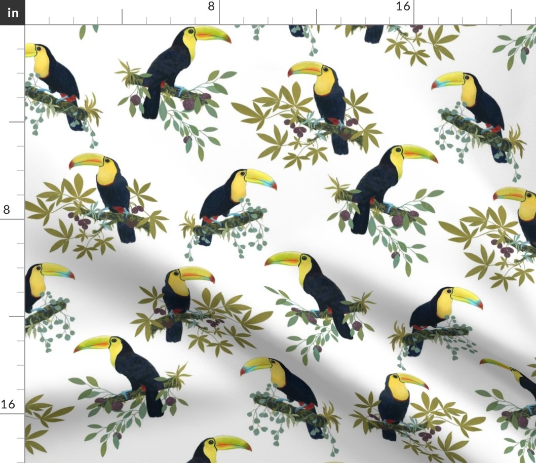 Funny party with toucans on white /small/