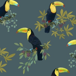 Funny party with toucans on teal /big/
