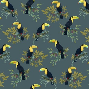 Funny party with toucans on teal /small/