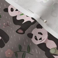 Pandas small scale