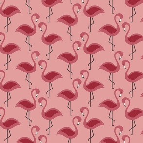 Flamingos on pink