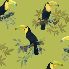 Funny party with toucans on olive green /big/
