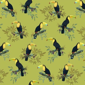 Funny party with toucans on olive green /small/