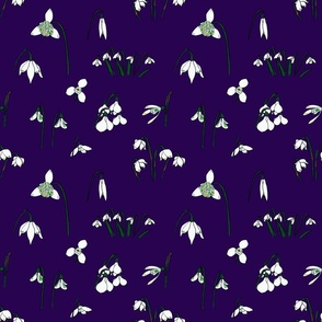 Snowdrop Varieties (dark purple)