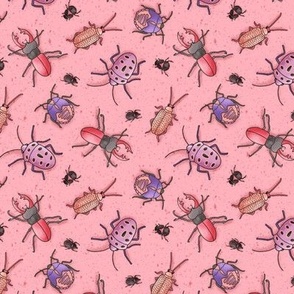 Beetles on Pink (Small Scale)