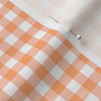 gingham- apricot