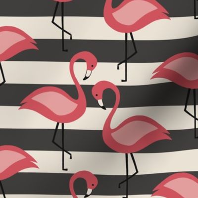 Flamingos on black and white stripes