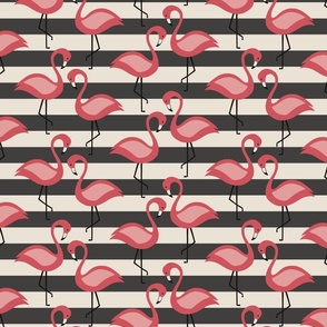 Flamingos on black and white stripes
